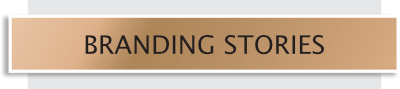 branding stories button